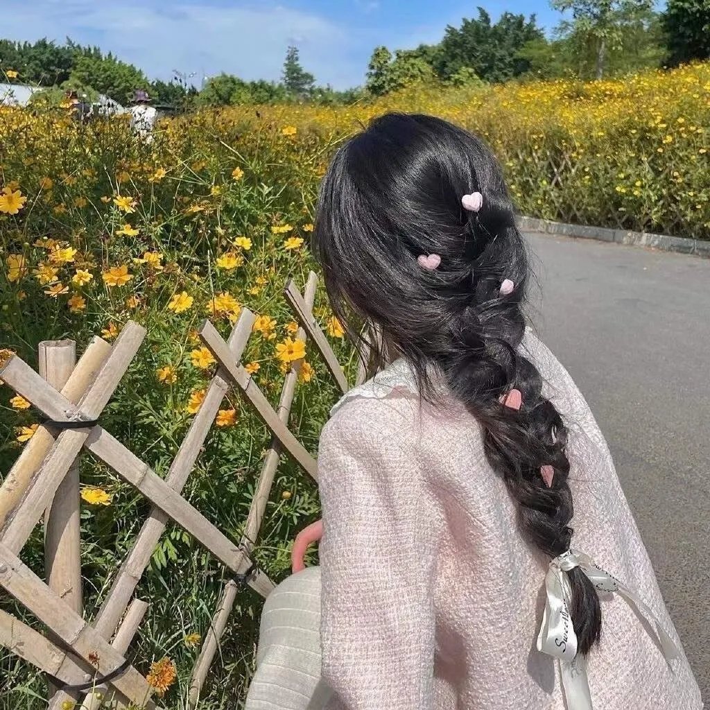 高速路上一只猫